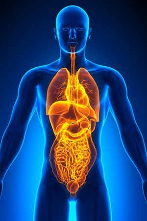 GENERAL INTERNAL MEDICINE